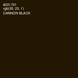 #231701 - Cannon Black Color Image